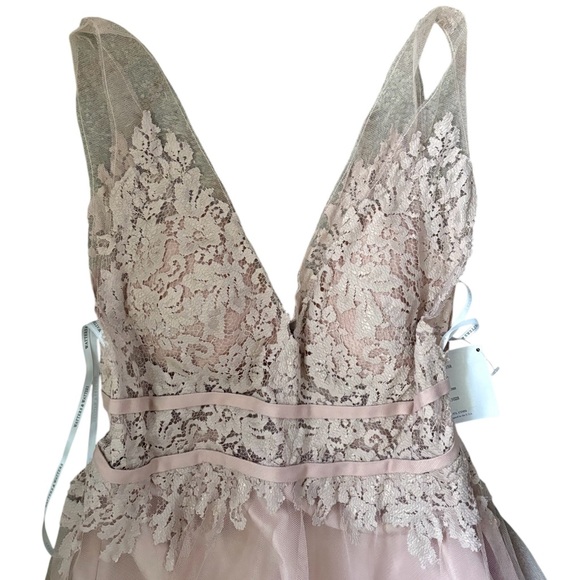 Watters Bridesmaids Aria Lace V-Neck Tulle Gown 6603-Brielle in Blush New Sz 4 - Picture 6 of 12